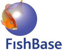 fishbase.png